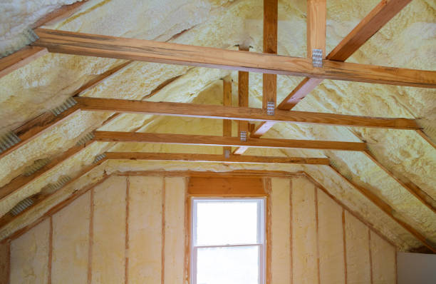 Best Specialized Insulation Services in Durant, MS