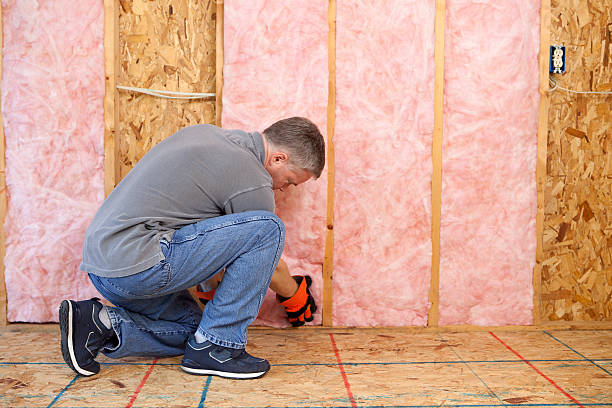 Best Cellulose Insulation in Durant, MS
