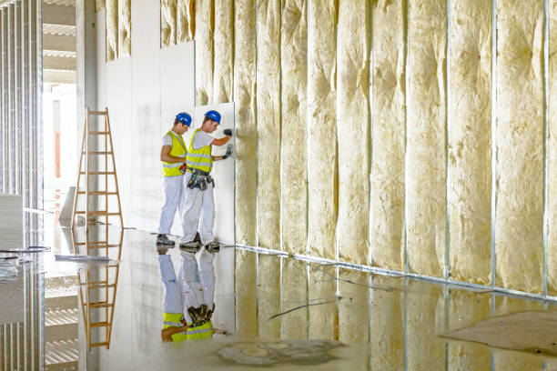 Types of Insulation We Offer in Durant, MS